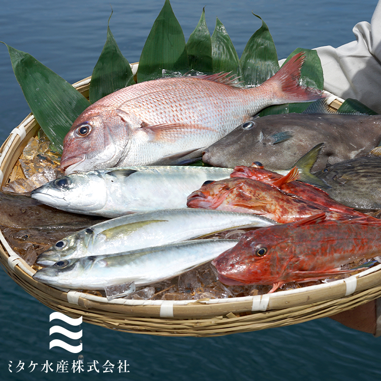 みーこさま 専用、鮮魚BOXの+colegiosantamariaeufrasia.cl